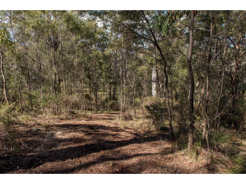 55 Forest Drive, Hampton QLD 4352