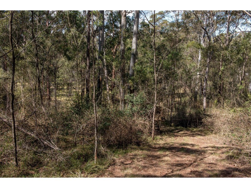 55 Forest Drive, Hampton QLD 4352