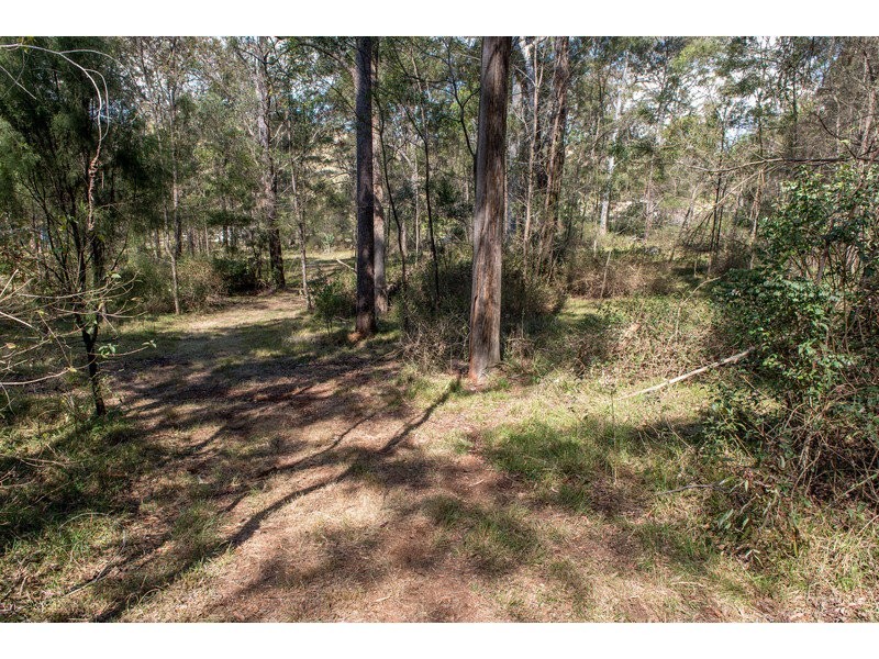55 Forest Drive, Hampton QLD 4352