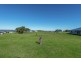 34 Hilltop Drive, Gowrie Junction QLD 4352