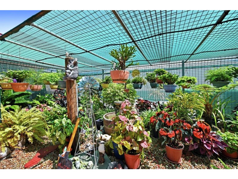 10 Schaefer Court, Westbrook QLD 4350