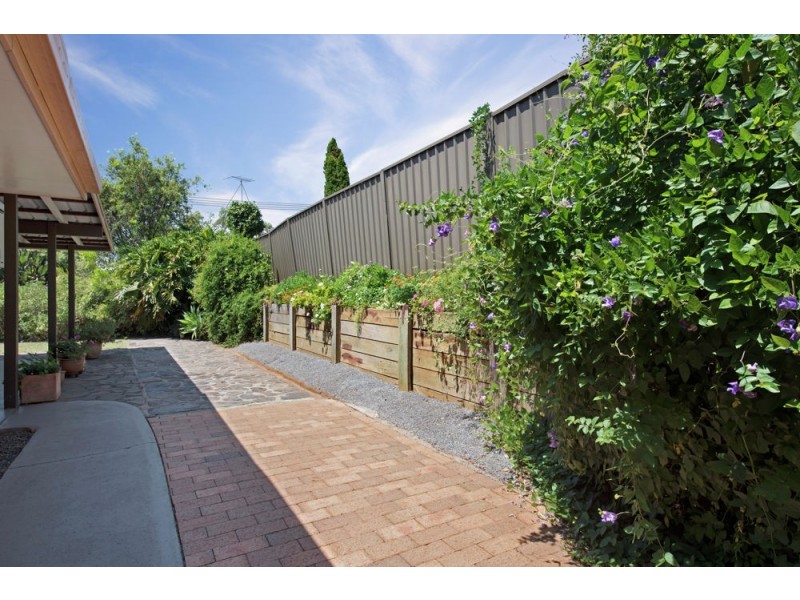 14 Wright Street, Wilsonton QLD 4350