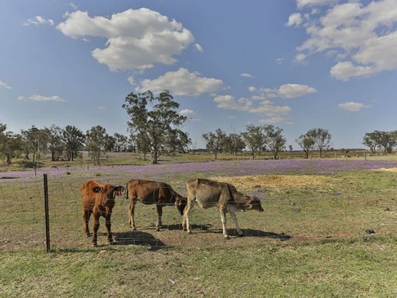 13 Colemans Road, Goombungee QLD 4354