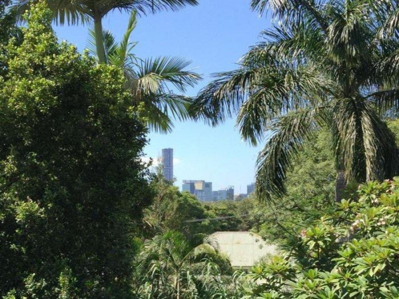 19 McNab Street, Paddington QLD 4064