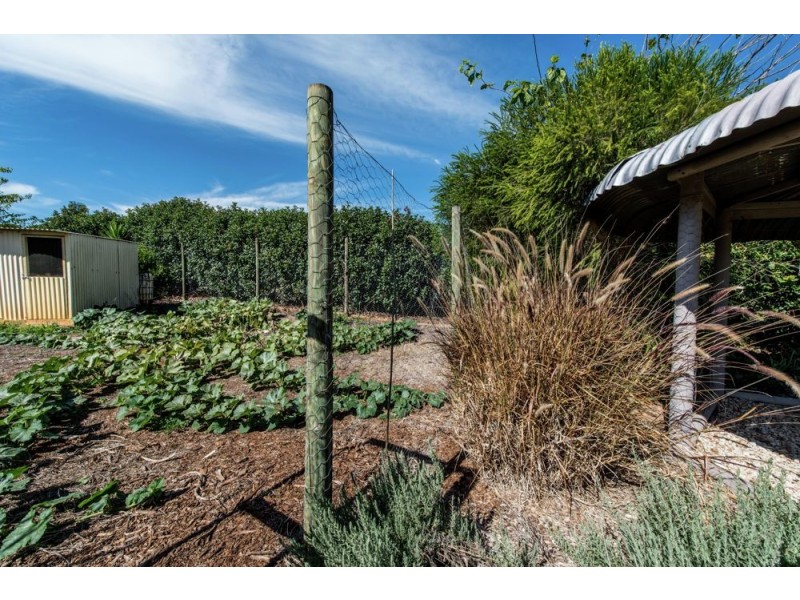 10 Jenna Court, Highfields QLD 4352