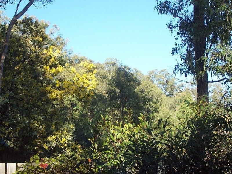 Ferny Hills QLD 4055