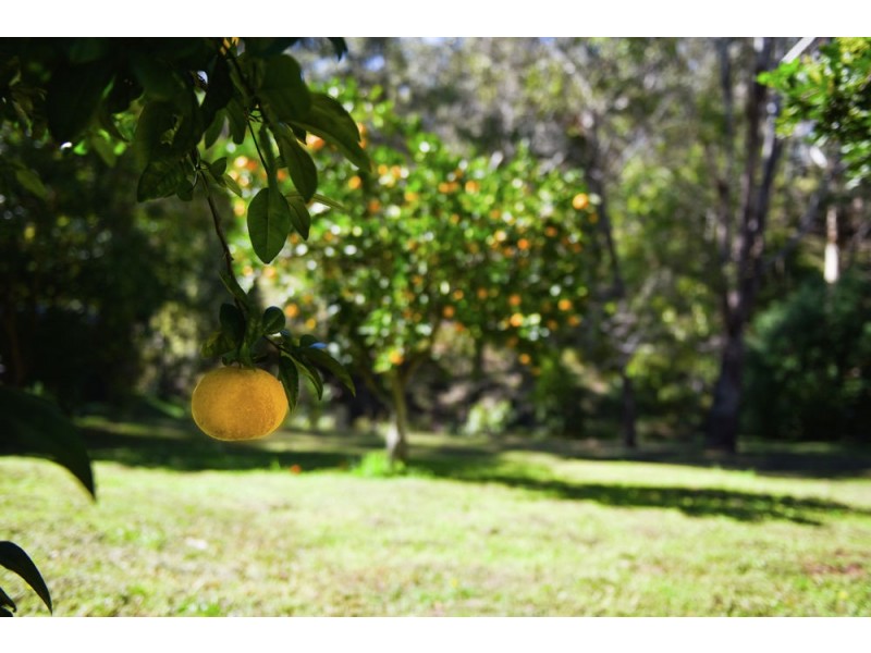 2263 Murphys Creek Road, Ballard QLD 4352