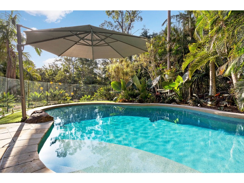 12 Gardonia Place, Albany Creek QLD 4035