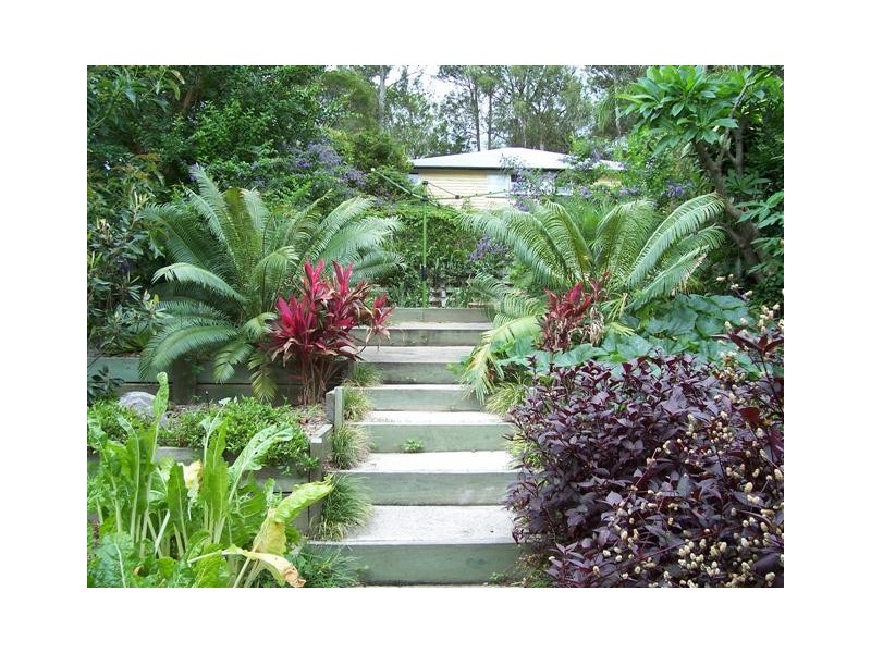 36 Lorward Avenue, Bardon QLD 4065