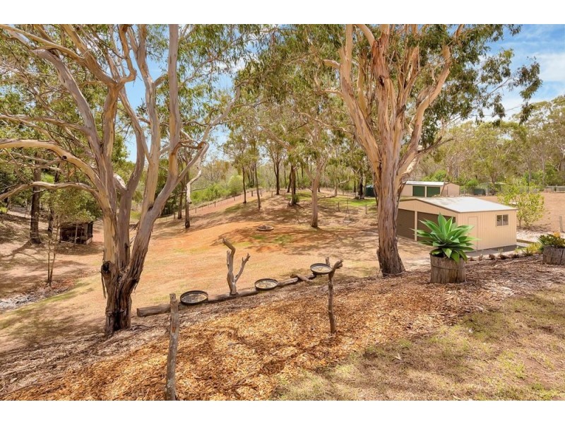 14 Holly Avenue, Highfields QLD 4352