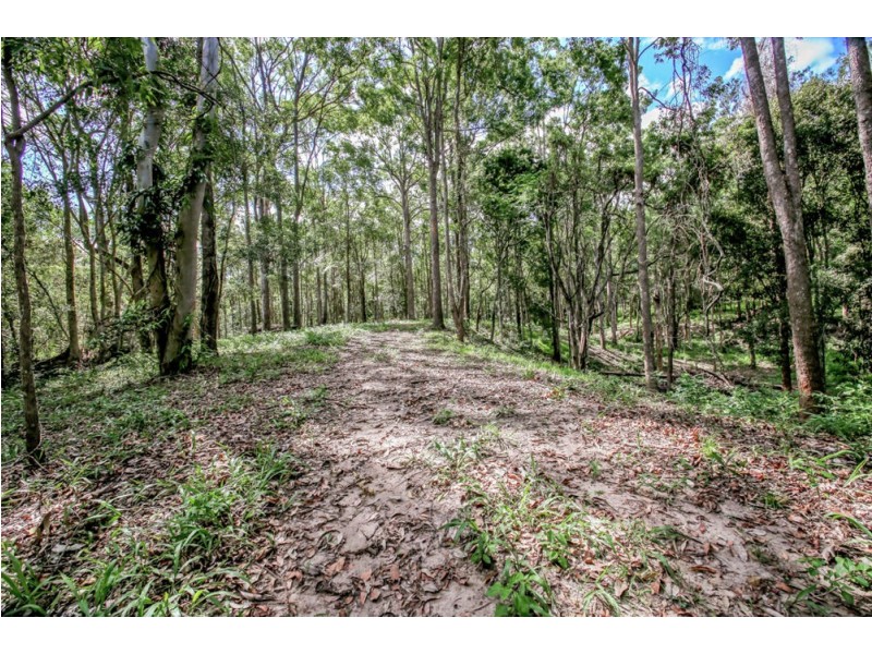 202 Gibbons Road, Samford Valley QLD 4520