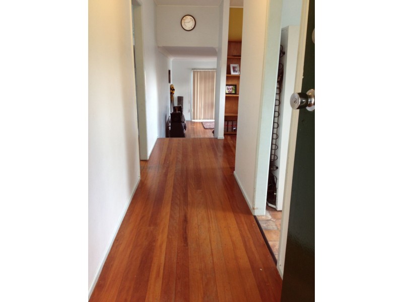 161 Patricks Road, Arana Hills QLD 4054