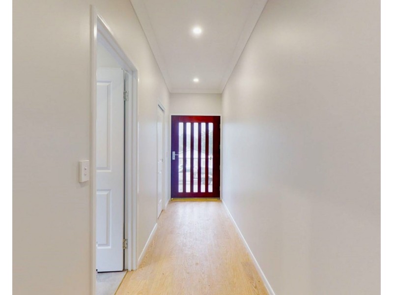 19 Carbethon Street, Manly QLD 4179