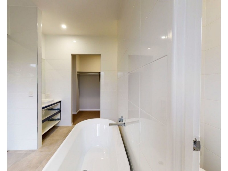 19 Carbethon Street, Manly QLD 4179