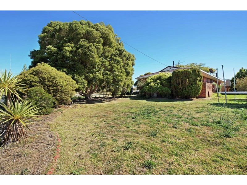 23 Colvin Street, Drayton QLD 4350