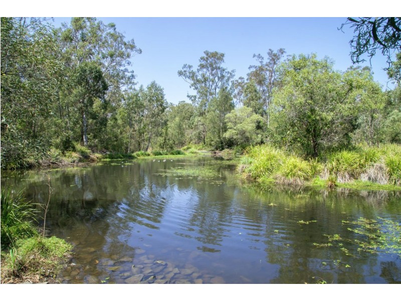 12 Doherty Place, Wakerley QLD 4154