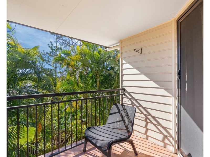 3/43 Dalmore Street, Ashgrove QLD 4060