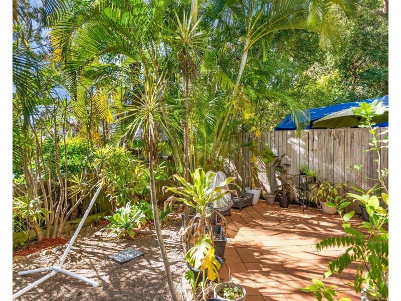 3/43 Dalmore Street, Ashgrove QLD 4060