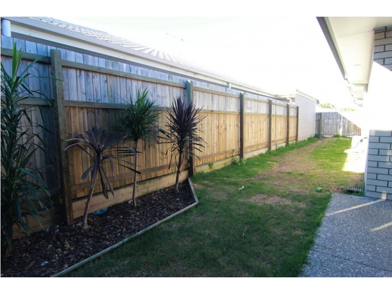 31 Angliss Circuit, Thornlands QLD 4164