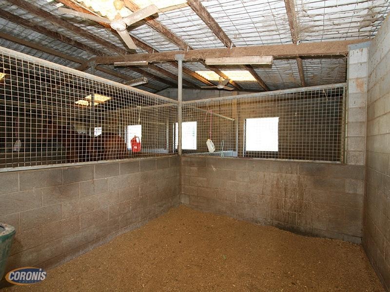 Bulli Street, Hendra QLD 4011