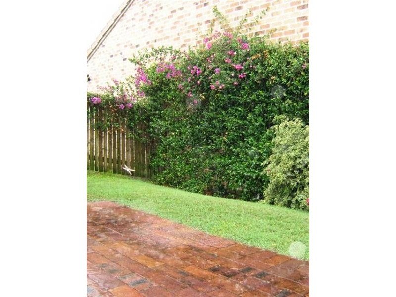 19/7 Bauhinia Avenue, Enoggera QLD 4051