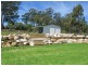 23 Lilly Avenue, Cawdor QLD 4352