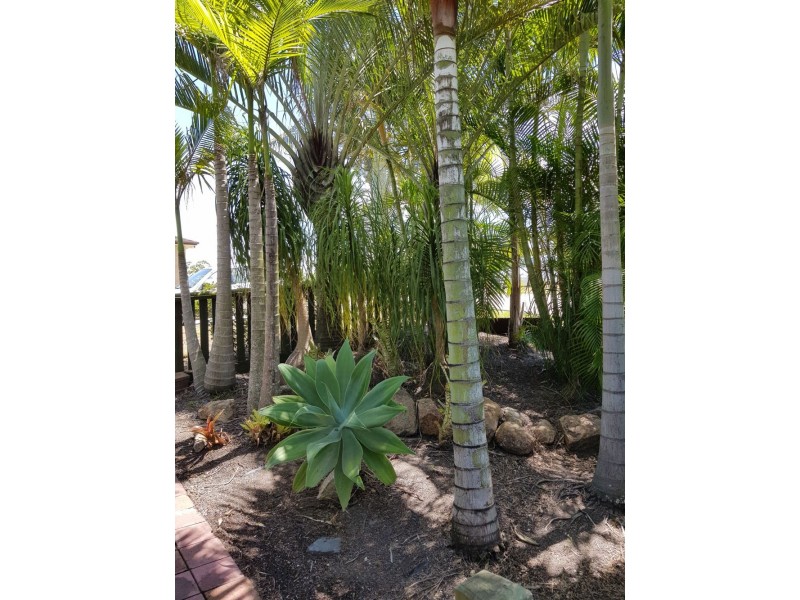 26 Bunya Road, Everton Hills QLD 4053