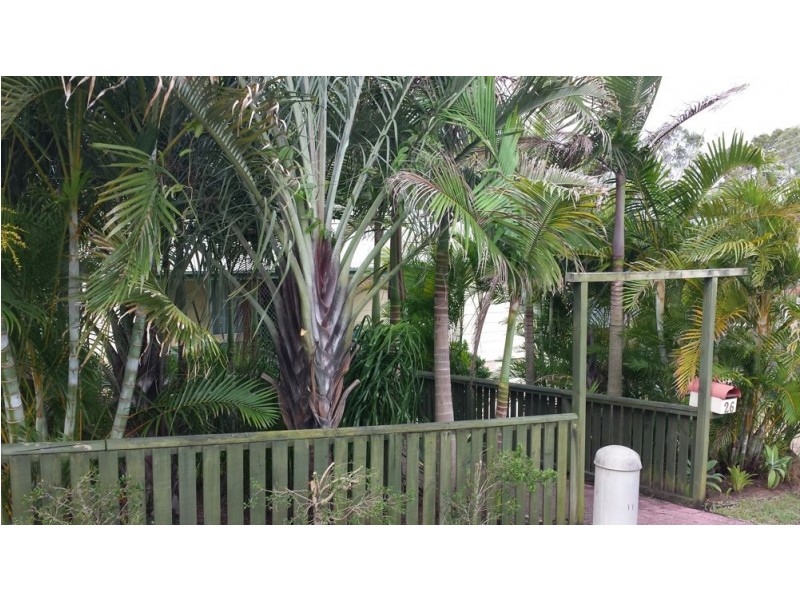 26 Bunya Road, Everton Hills QLD 4053