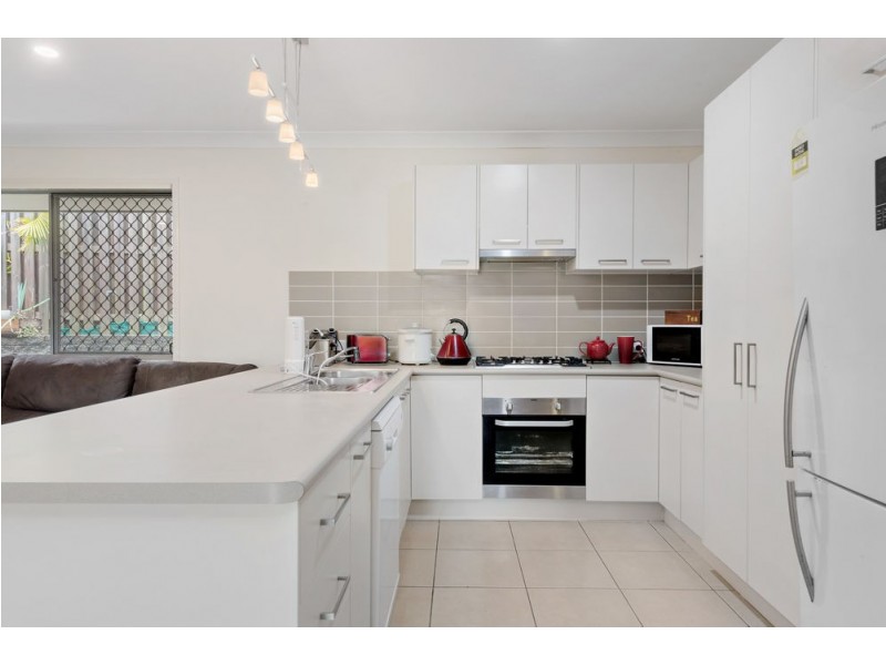 19 Daintree Drive, Coomera QLD 4209