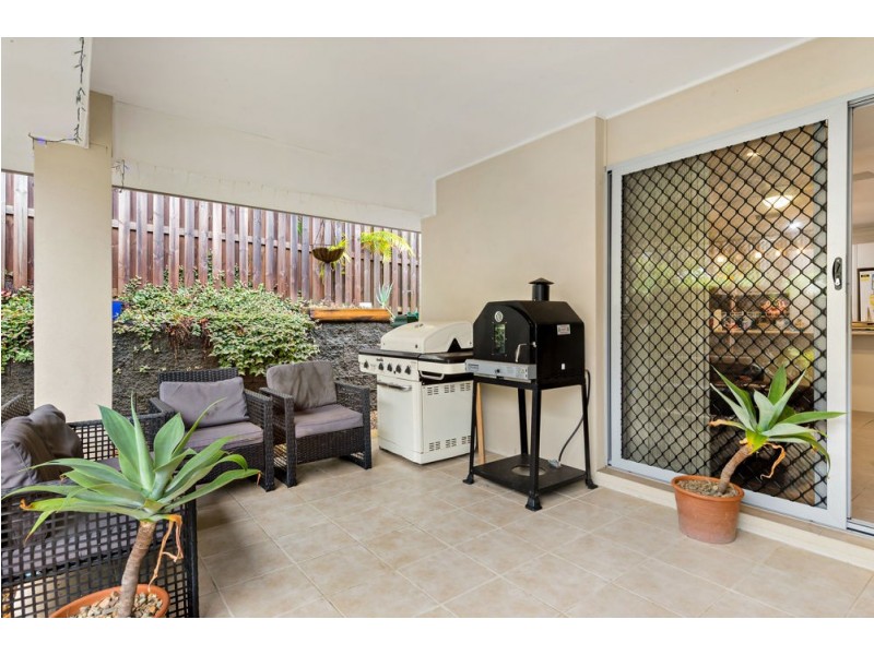 19 Daintree Drive, Coomera QLD 4209
