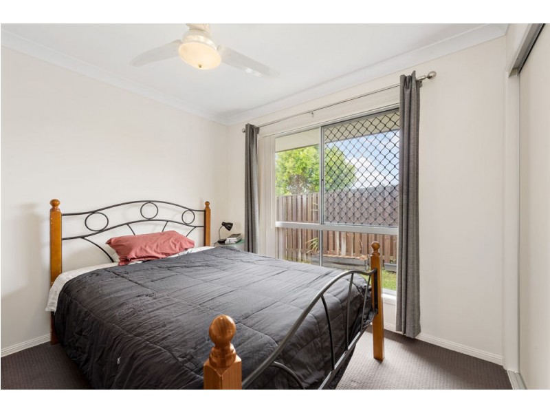 19 Daintree Drive, Coomera QLD 4209