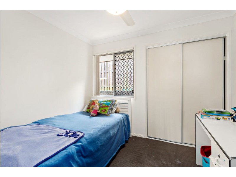 19 Daintree Drive, Coomera QLD 4209