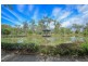 19 Daintree Drive, Coomera QLD 4209