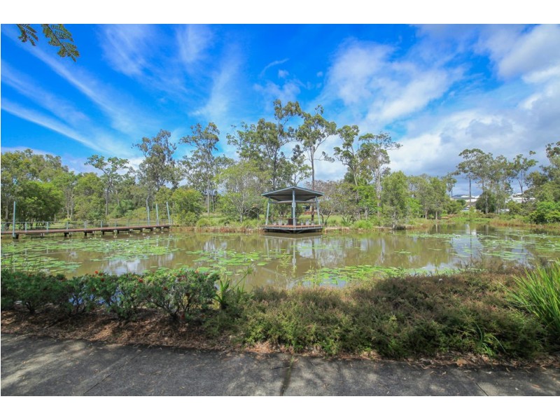 19 Daintree Drive, Coomera QLD 4209