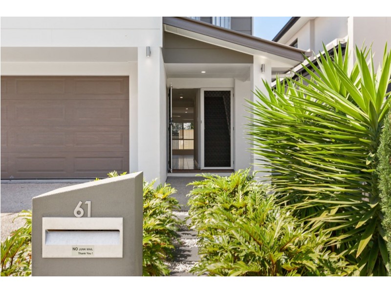 61 Cavell Street, Birkdale QLD 4159