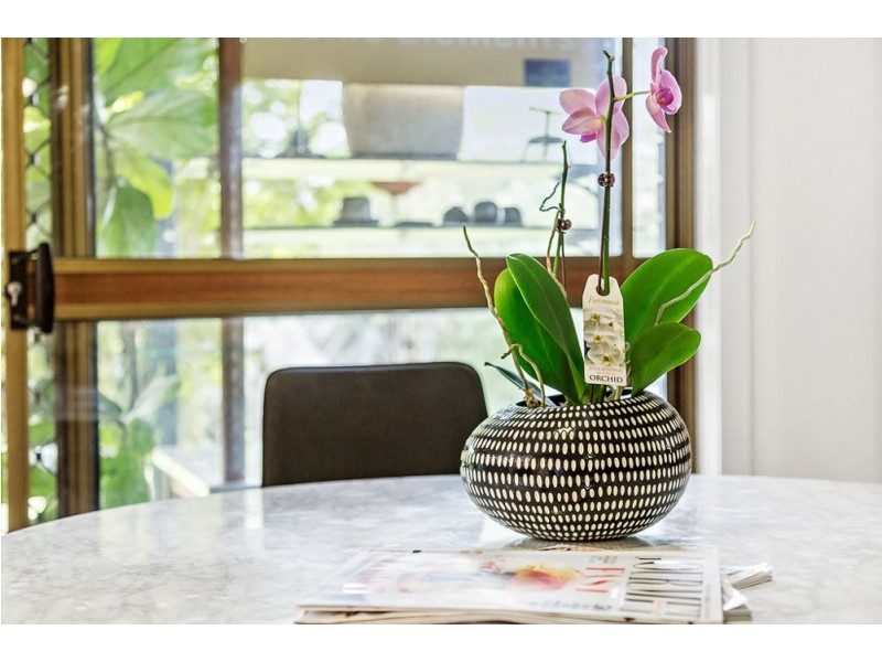 139 Redwood Street, Stafford Heights QLD 4053