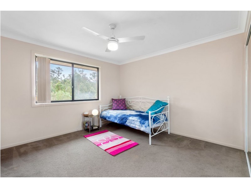 50 Silver Gull Street, Coomera QLD 4209