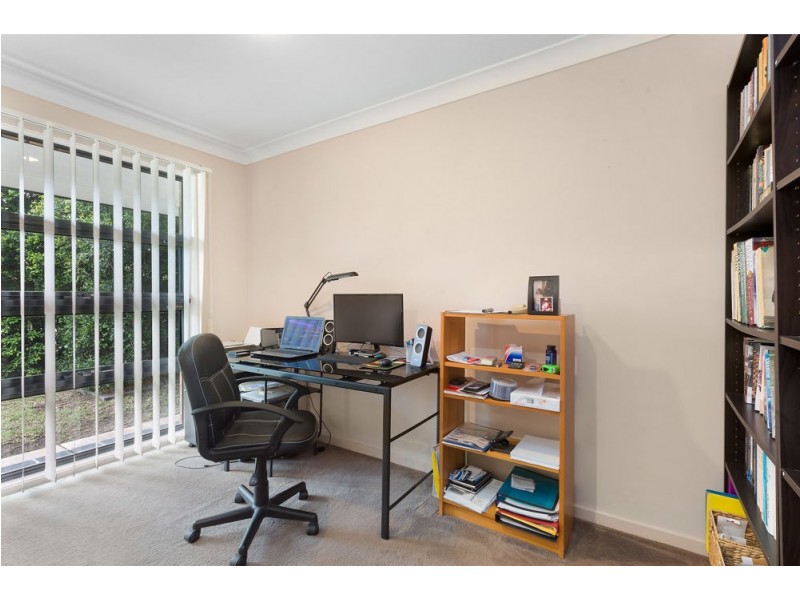 50 Silver Gull Street, Coomera QLD 4209