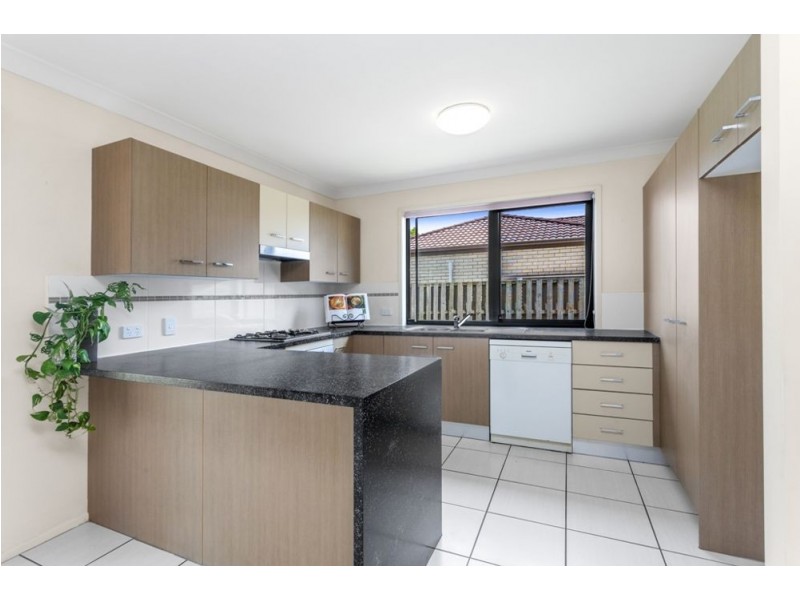 61 Macaranga Crescent, Carseldine QLD 4034