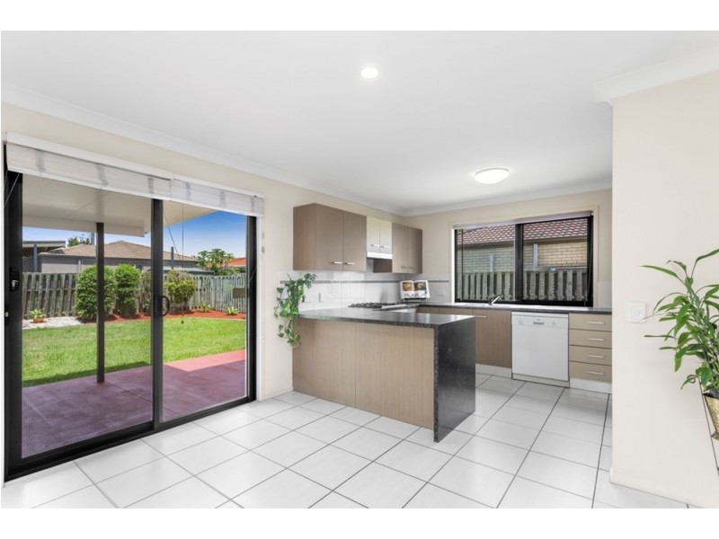61 Macaranga Crescent, Carseldine QLD 4034