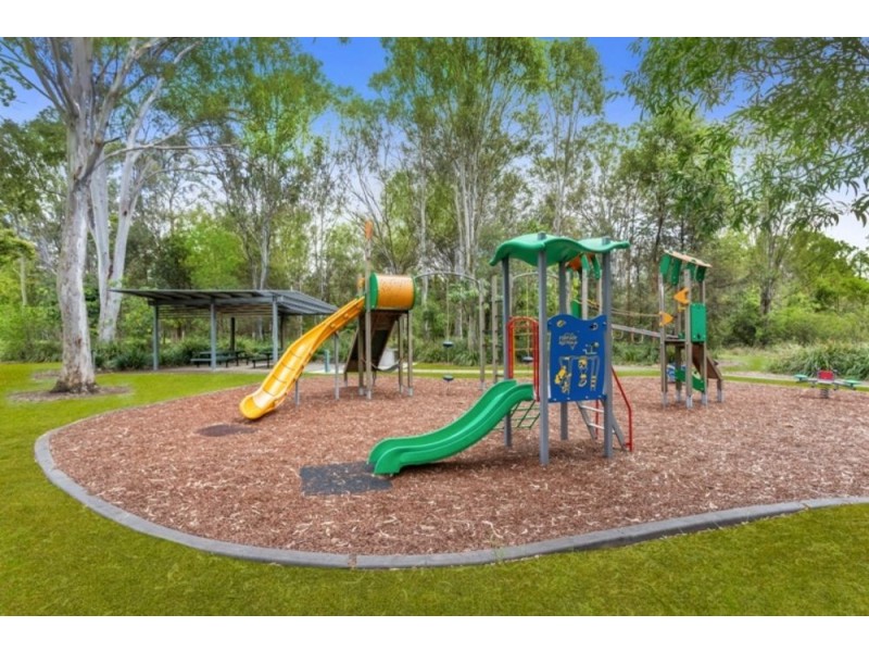 61 Macaranga Crescent, Carseldine QLD 4034