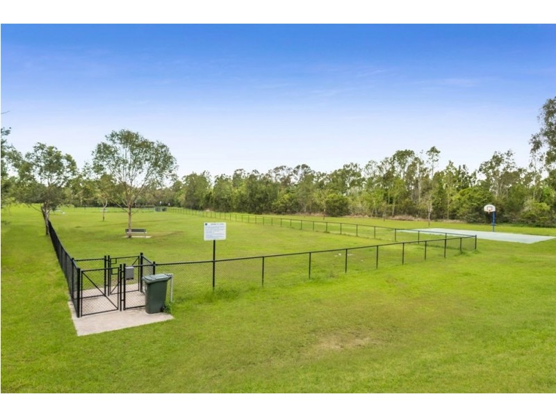 61 Macaranga Crescent, Carseldine QLD 4034