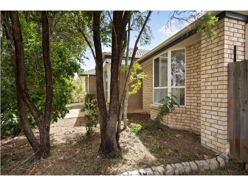 12 Livingstone Street, Upper Coomera QLD 4209