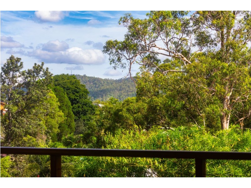 133 Camelia Avenue, Everton Hills QLD 4053