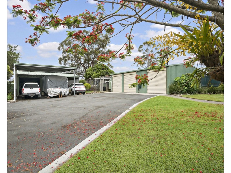 14 Montanus Drive, Woodford QLD 4514