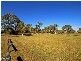 Bald Hills QLD 4036