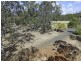 151 Jones Road, Withcott QLD 4352