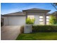 33 Cardwell Circuit, Thornlands QLD 4164