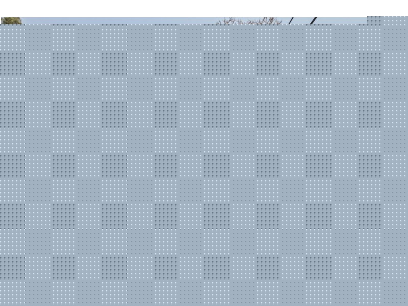 5/25 Payne Street, Indooroopilly QLD 4068