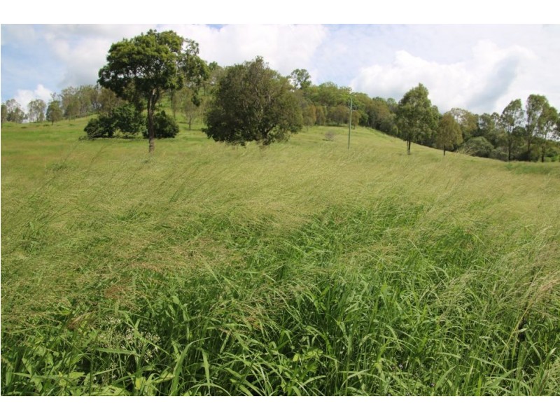 829 McIntosh Creek Road, Mcintosh Creek QLD 4570